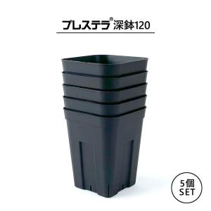 【5個セット】プレステラ深鉢【 120 】104mm×130mm 3.5号 黒 ブラック 長鉢 プラ鉢 育成 育苗 アガベ 塊根 多肉 挿しラベル対応 スリット おしゃれ かっこいい｜SHALLOWPLANTS