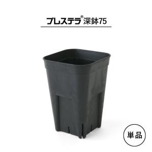 【単品】プレステラ【 深鉢75 】64mm×90mm 2.5号 黒 スリット鉢 長鉢 プラ鉢 育成 育苗 アガベ 塊根 多肉 挿しラベル対応 四角 小さい NIPPORI