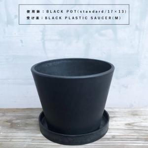 BLACK PLASTIC SAUCER【SI...の詳細画像2