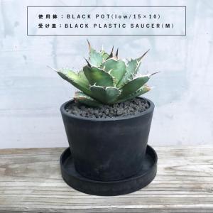 BLACK PLASTIC SAUCER【SI...の詳細画像5