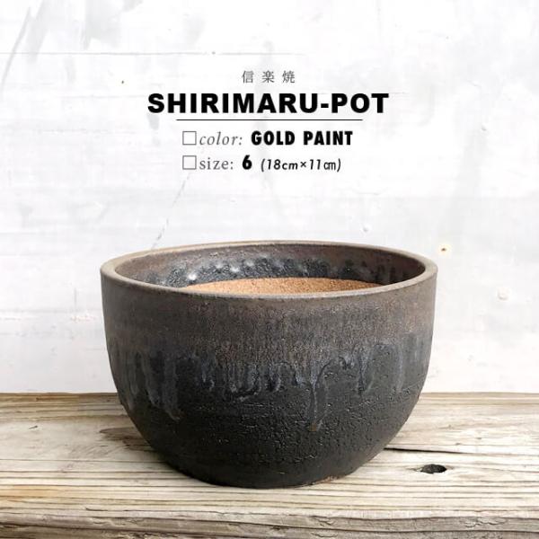 KAMIYAMA SHIRIMARU【金彩尻丸6号】18cm×11cm 6号 かみ山陶器 信楽焼 植...