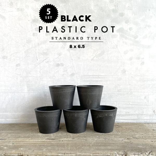 【5個セット】BLACK PLASTIC POT【STANDARD TYPE】8cm×6.5cm 黒...