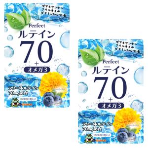 ルテインサプリメント 濃いルテイン 70mg サプリ 高濃度 フリー体 ルテイン ビルベリー ゼアキサンチン アントシアニン ブルーベリー 目のサプリ 60粒 2個セット｜shalom7032