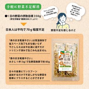 素のまま乾燥やさい ぶどう糖不使用 国産 無添...の詳細画像5