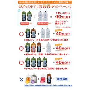 ルベル(40%OFF)ナチュラルヘアソープ 選...の詳細画像1