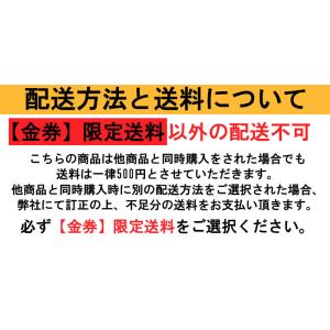 VISA 最安 ギフト券 1000円券 お一人...の詳細画像2