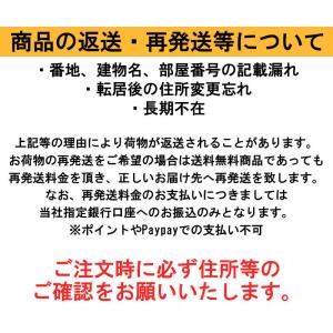 VISA 最安 ギフト券 1000円券 お一人...の詳細画像3