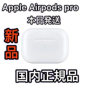 Apple 新品 エアーポッズ 第二世代 第2世代 AirPods 左耳のみ L Apple 新品 エアーポッズ 第二世代 第2世代 AirPods 左耳のみ L