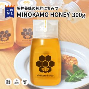 はちみつ 国産 純粋 非加熱 MINOKAMO HONEY 300g 1本 岐阜県産 百科蜜 藤井養蜂