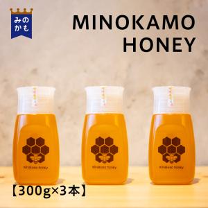 はちみつ 国産 純粋 非加熱 MINOKAMO HONEY 300g 1本 岐阜県産 百科蜜
