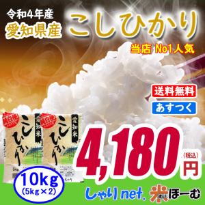 コシヒカリ お米 米 白米 10kg 5kg×2袋 令和4年産 送料無料 (一部地域除く) 愛知県産 【ギフト】