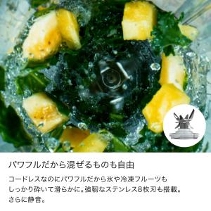 13%OFF ニンジャ Ninja Blast...の詳細画像4