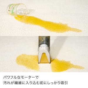 33%OFF Shark シャーク Stain...の詳細画像3