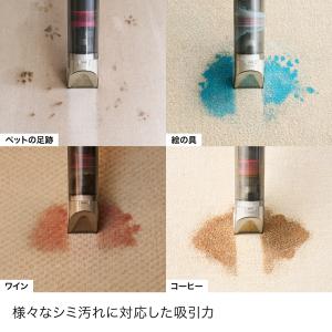 33%OFF Shark シャーク Stain...の詳細画像4