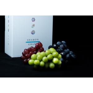 SHARON GRAPE シャロングレープ 彩...の詳細画像1