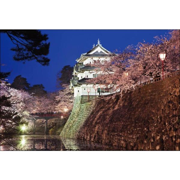 PT-003 弘前城・夜桜