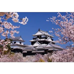PT-005 桜咲く名古屋城 : 風景カレンダーの写真工房ストア - 通販