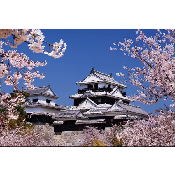 PT-004 桜咲く松山城