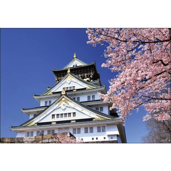 PT-006 桜咲く大阪城