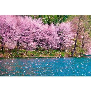 【真作】掛軸　跡部白鳥　矢祭山の桜　春景色　桜咲く里山風景　共箱入　R166 真作】掛軸 跡部白鳥 矢祭山の桜 春景色 桜咲く里山風景 共