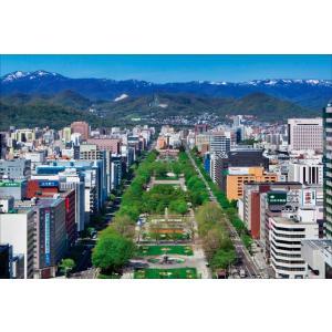 PT-059 テレビ塔から望む大通公園｜風景カレンダーの写真工房ストア