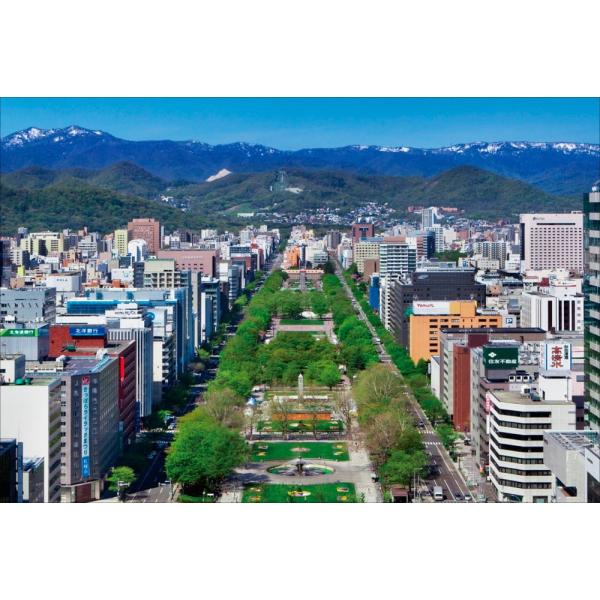 PT-059 テレビ塔から望む大通公園