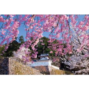 PT-145 桜咲く出石城／兵庫県の商品画像