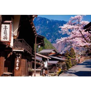 PT-136 桜咲く新倉富士浅間神社／山梨県 : 風景カレンダーの写真工房