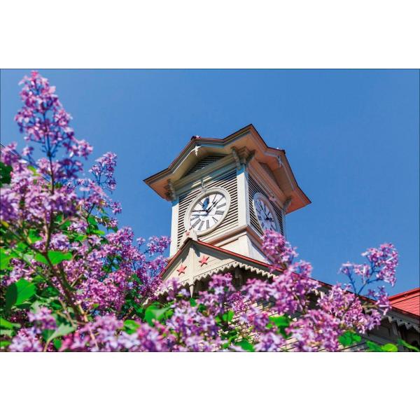 PT-155 ライラックと札幌時計台