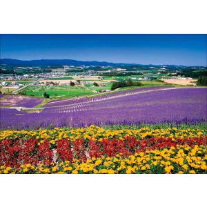 PT-045 ダイヤモンド富士／山梨県 : 風景カレンダーの写真工房ストア