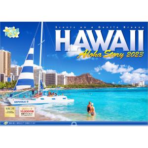カレンダー 2023 壁掛け ハワイ Aloha Story L-07 透明ホルダー付