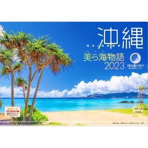 カレンダー 2023 壁掛け 沖縄 美ら海物語 L-25 透明ホルダー付 令和5年 写真工房