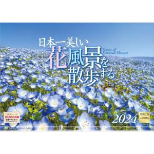『日本一美しい花風景を散歩する』 2024年カレンダー 壁掛け 【420×297mm 透明ホルダー付】 風景 YC-20｜shashinkoubou