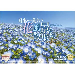 『日本一美しい花風景を散歩する』 2024年カレンダー 壁掛け 【420×297mm 透明ホルダー付】 風景 YC-20｜風景カレンダーの写真工房ストア