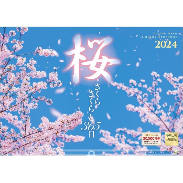 『桜 さくらさくらと365日』 2024年カレンダー 壁掛け 【420×297mm 透明ホルダー付】...