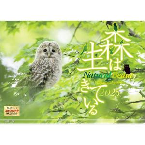 『 森は生きている 』 2025年 カレンダー 壁掛け 【ホルダー付 300×420mm】 風景 YA-21