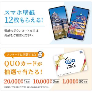 写真工房カレンダー | 城 2026 カレンダ...の詳細画像5