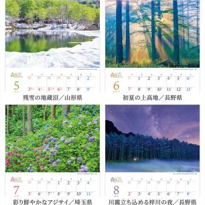 写真工房カレンダー | 森は生きている 202...の詳細画像2