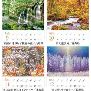 写真工房カレンダー | 森は生きている 202...の詳細画像3