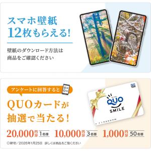 写真工房カレンダー | 森は生きている 202...の詳細画像5