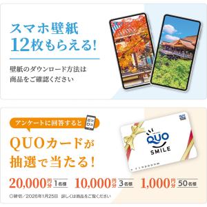 写真工房カレンダー | 雅の京都 2026 カ...の詳細画像5