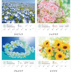 写真工房カレンダー | しあわせの花風水 20...の詳細画像2