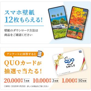 写真工房カレンダー | ぶらり鉄道の旅 202...の詳細画像4