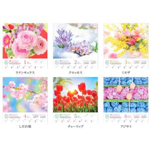 写真工房カレンダー | しあわせの花風水 20...の詳細画像1