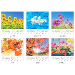 写真工房カレンダー | しあわせの花風水 20...の詳細画像2