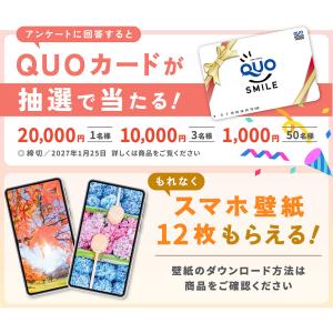 写真工房カレンダー | しあわせの花風水 20...の詳細画像4