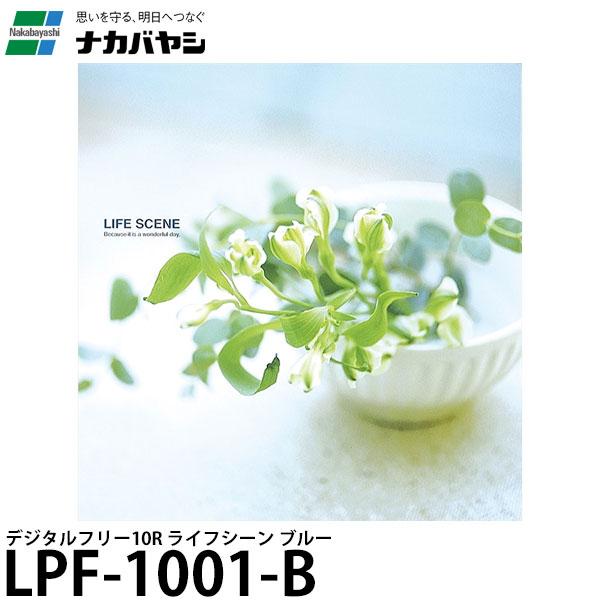 ナカバヤシ LPF-1001-B デジタルフリーアルバム Lサイズ ライフシーン ブルー 【送料無料...