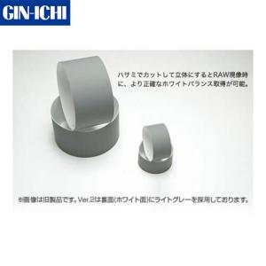 銀一 シルクグレーカードVer.2 【メール便...の詳細画像2