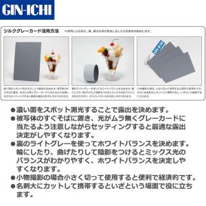 銀一 シルクグレーカードVer.2 【メール便...の詳細画像3