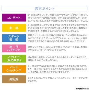 ケンコー・トキナー 双眼鏡 Kenko SG ...の詳細画像2